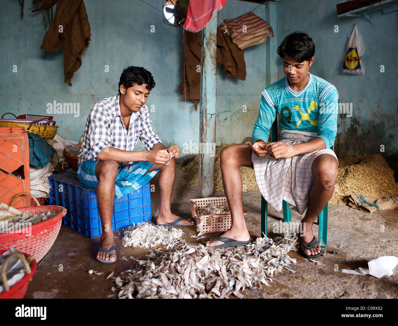 Les garçons Keralite préparer les filets de poisson dans le marché de fort Cochin, Kerala, Inde Banque D'Images