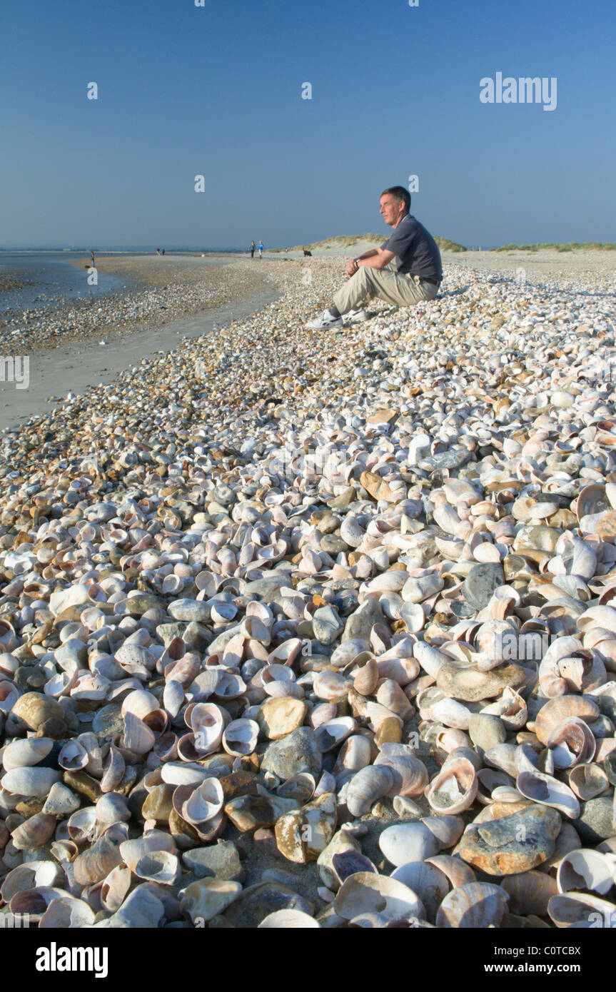 L'homme personne assise sur coquilles massés sur le bord ouest de la tête de l'Est, l'ouest wittering, West Sussex, UK. septembre. Banque D'Images