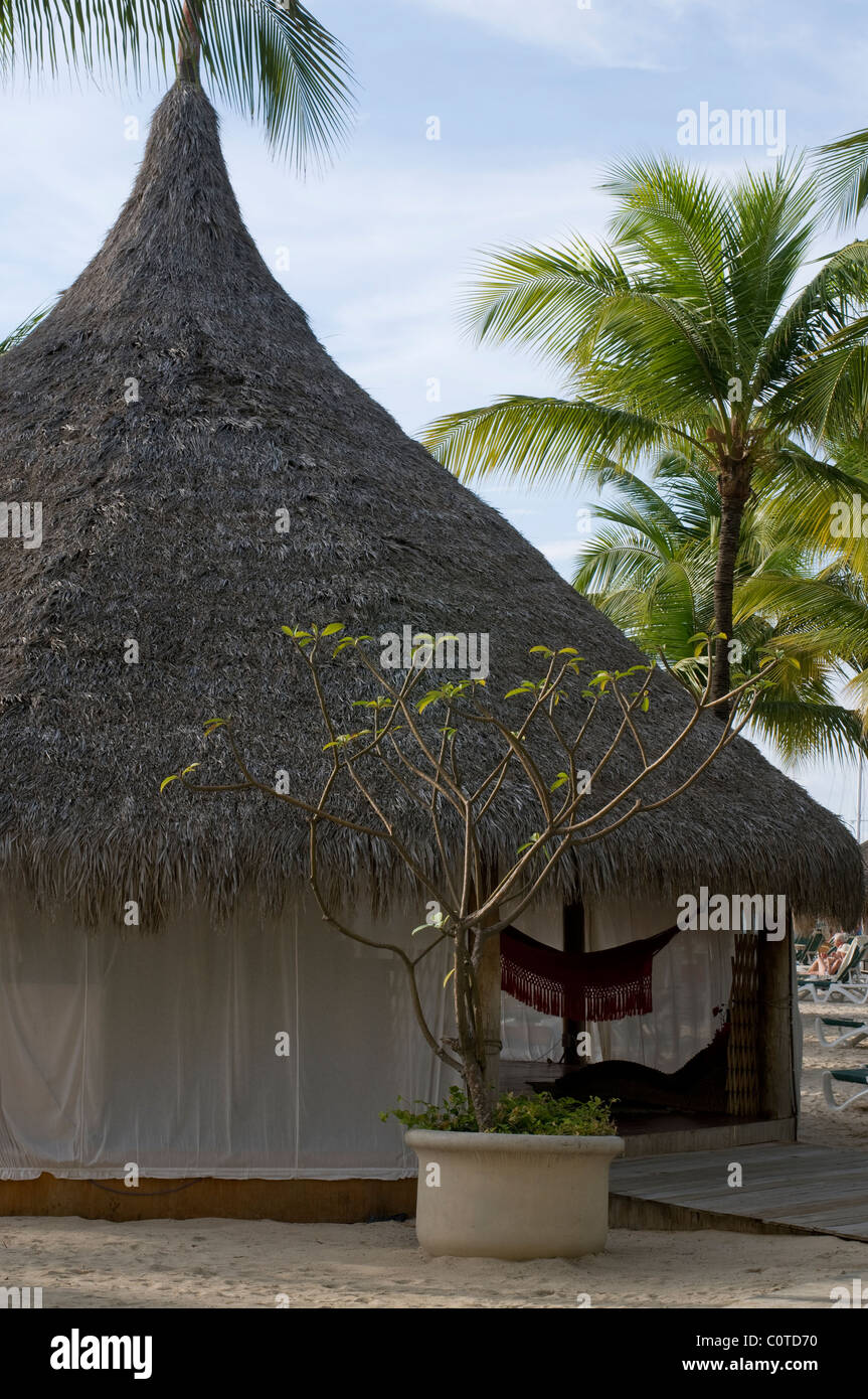 Une hutte au toit de palme à Aruba. Banque D'Images