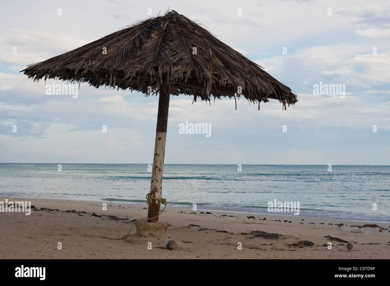 Ombre sur une plage d'Aruba. Banque D'Images