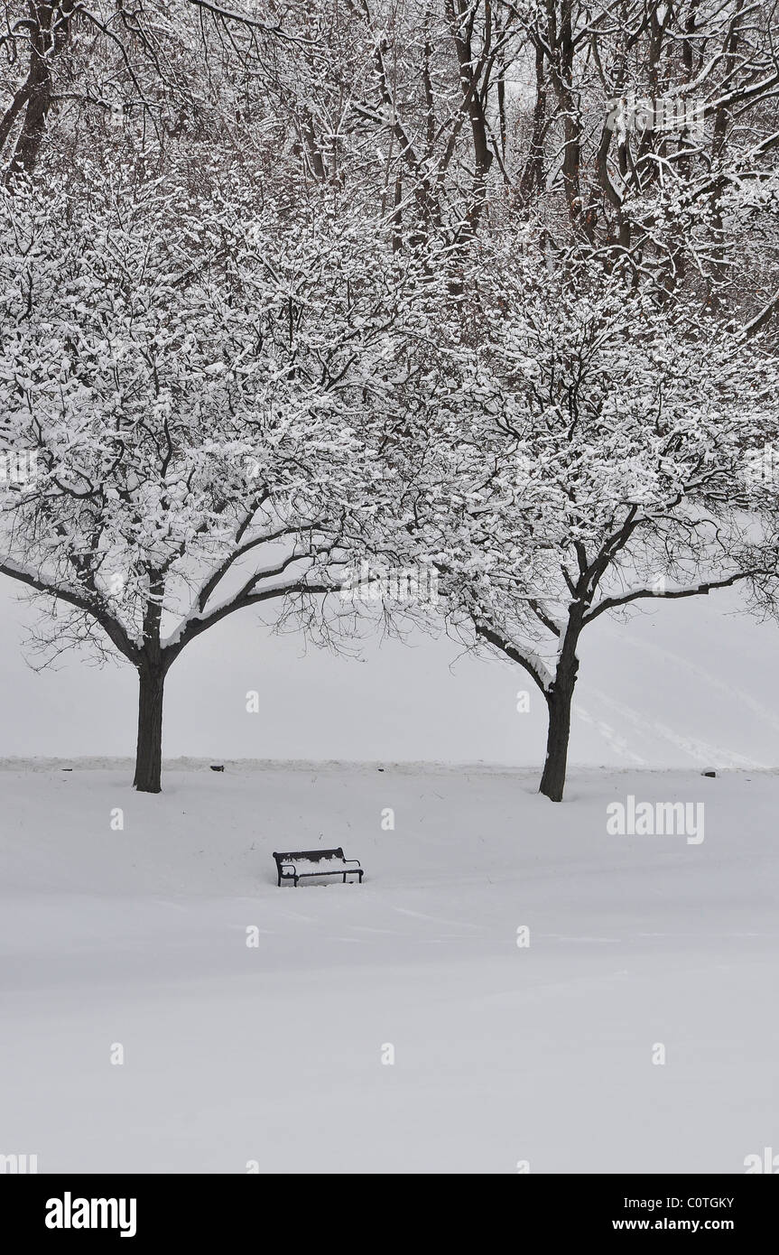 Banc et couvert d'arbres sous la neige dans la région de Albany Washington Park. Banque D'Images