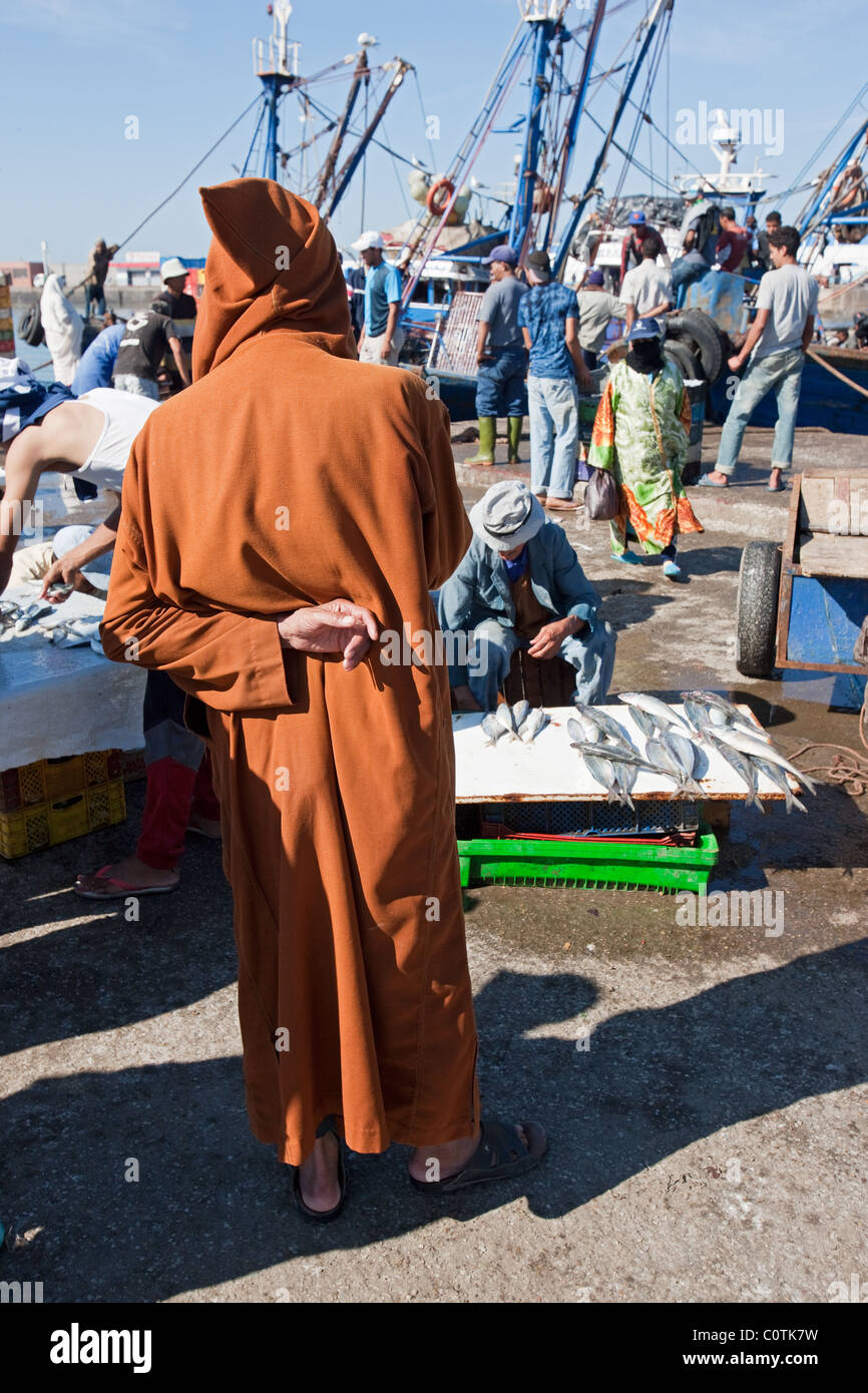 Scène de rue au port de pêche, Essaouira, Maroc, Afrique du Nord, Afrique Banque D'Images