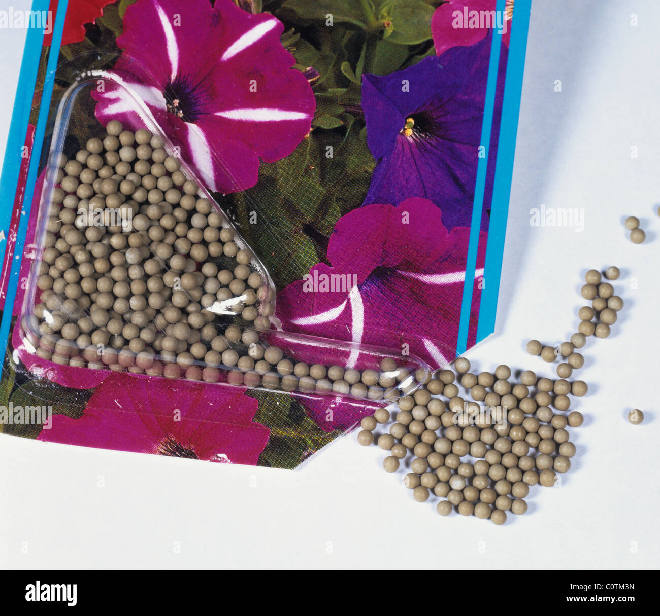 Un paquet de graines enrobées Petunia multiflora Banque D'Images