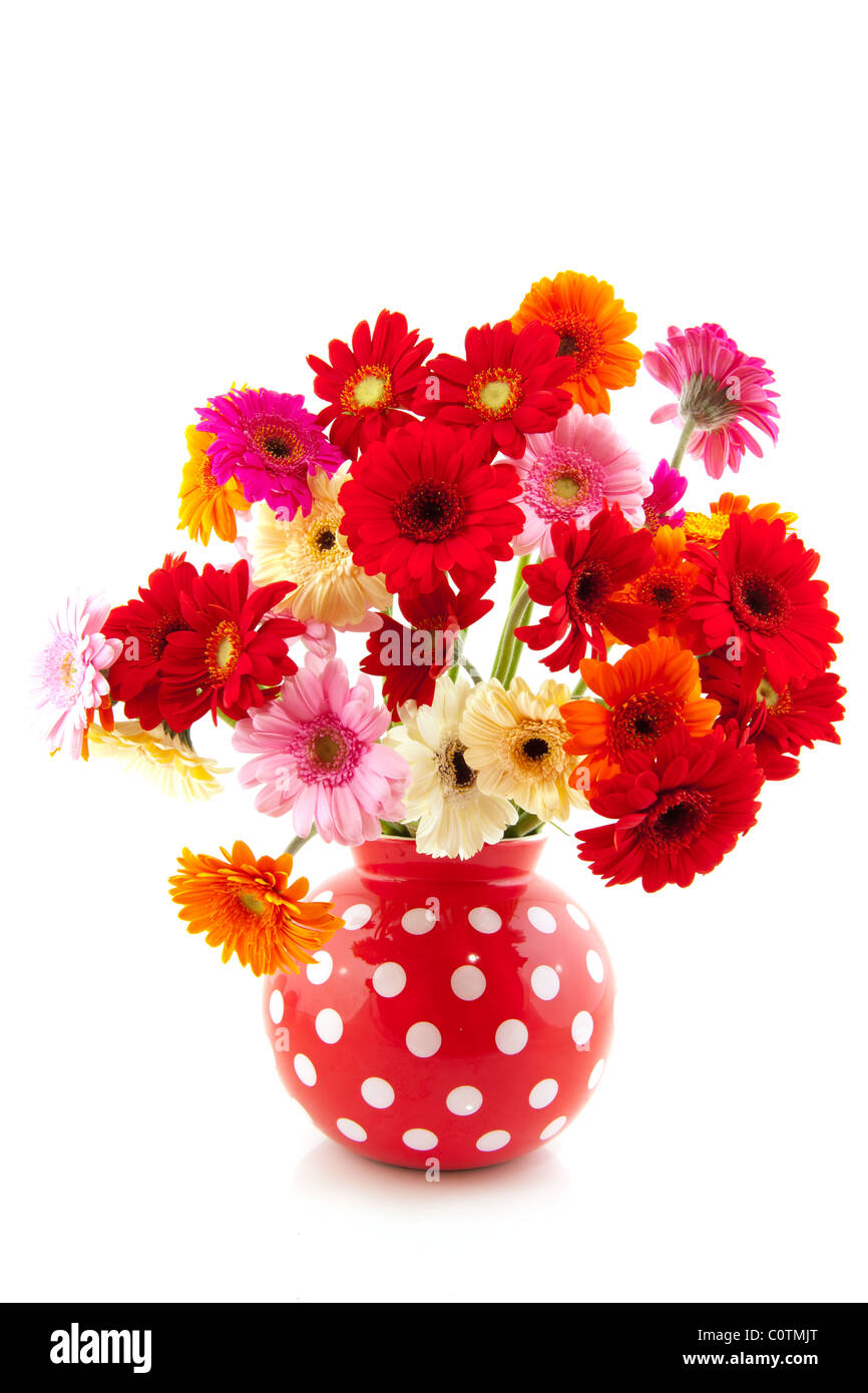 Cheerful Gerber fleurs bouquet dans vase en pointillés Banque D'Images