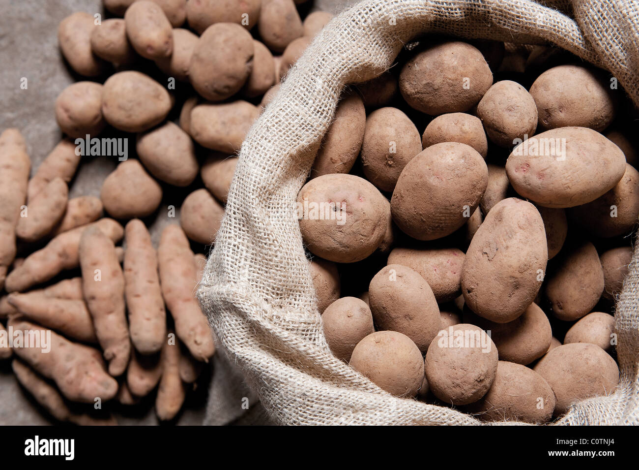 Sapin rose Apple, en bas à gauche et Picasso les plants de pommes de terre. Banque D'Images