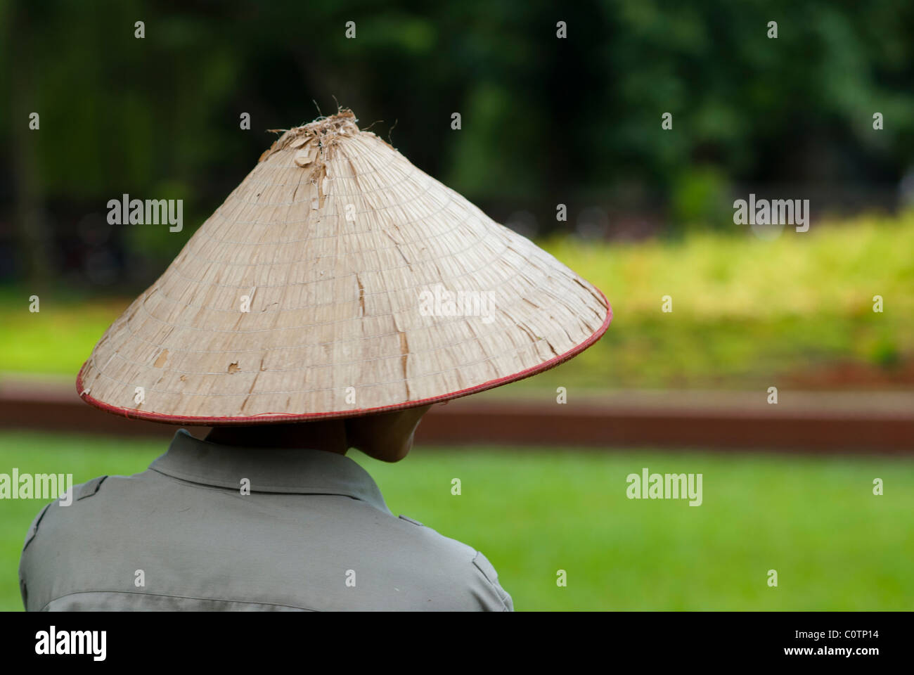 Le chapeau conique, Asiatique, carex hat hat paddy, riz hat, coolie hat, Vietnam Banque D'Images