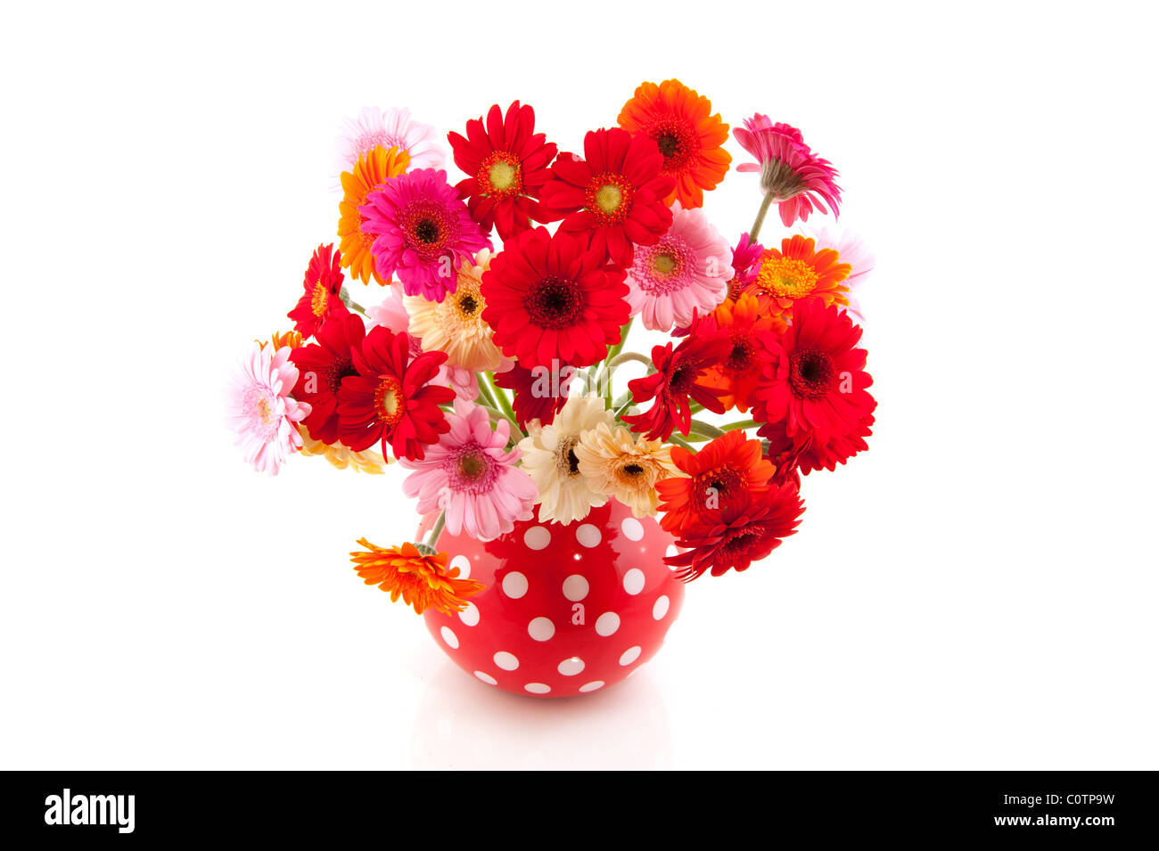 Rouge avec vase bouquet coloré de Gerber Banque D'Images
