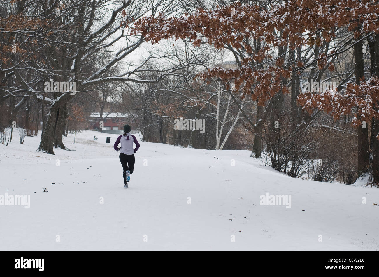 Un coureur qui traverse un parc à Boston, MA. Après une neige fraîche Banque D'Images