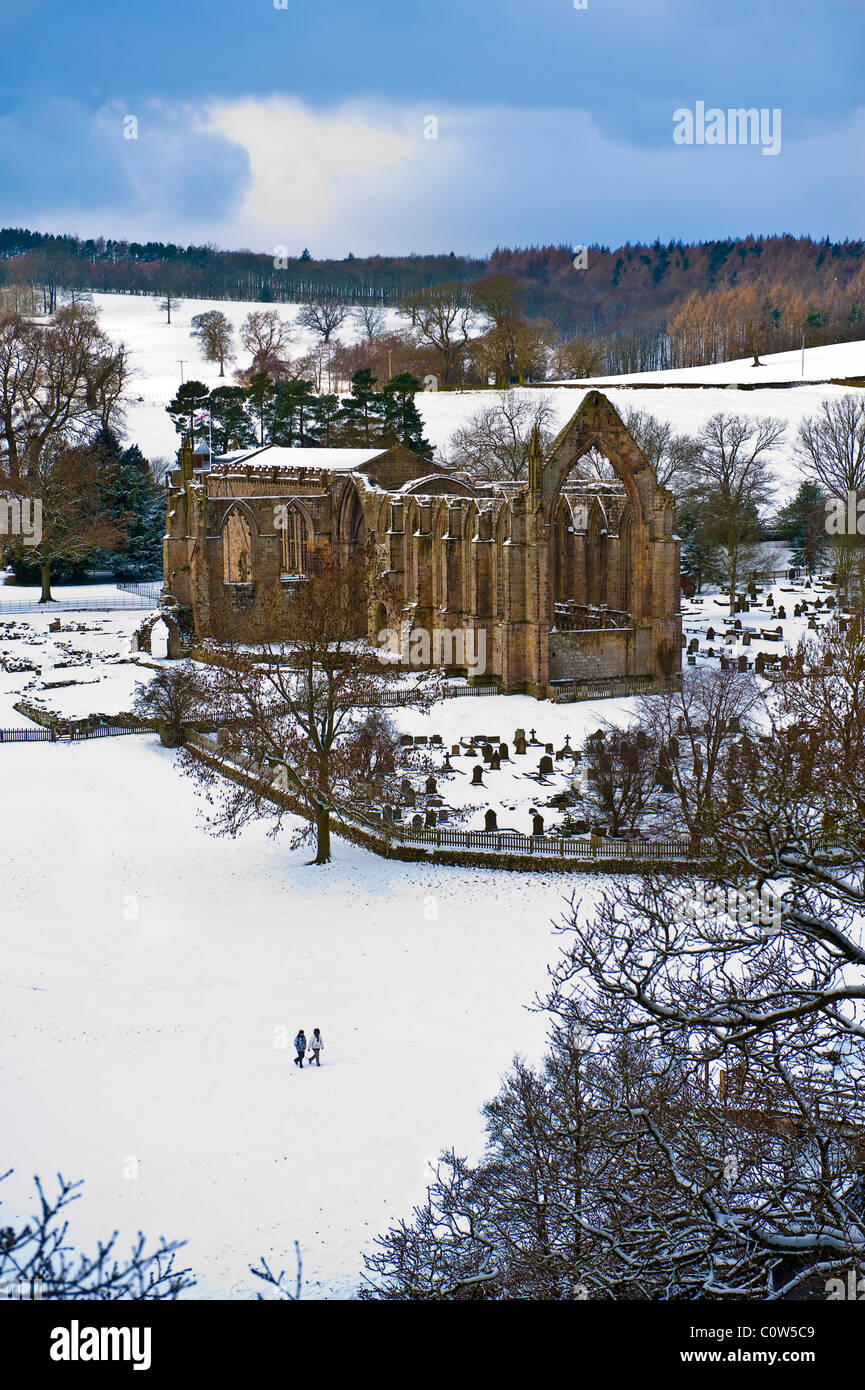 Bolton Abbey Yorkshire Dales River Wharfe Banque D'Images