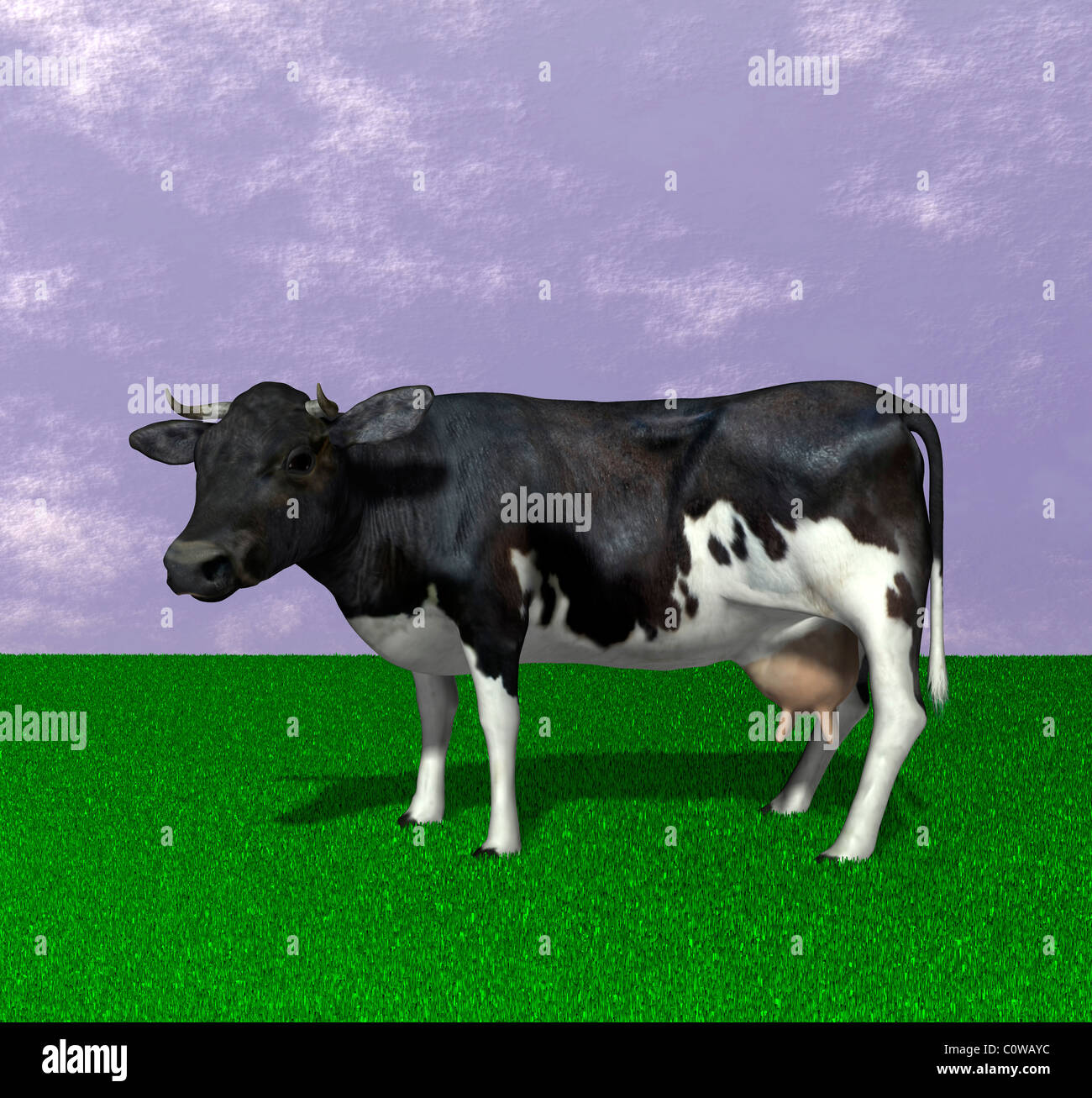 Illustration de vache Banque D'Images