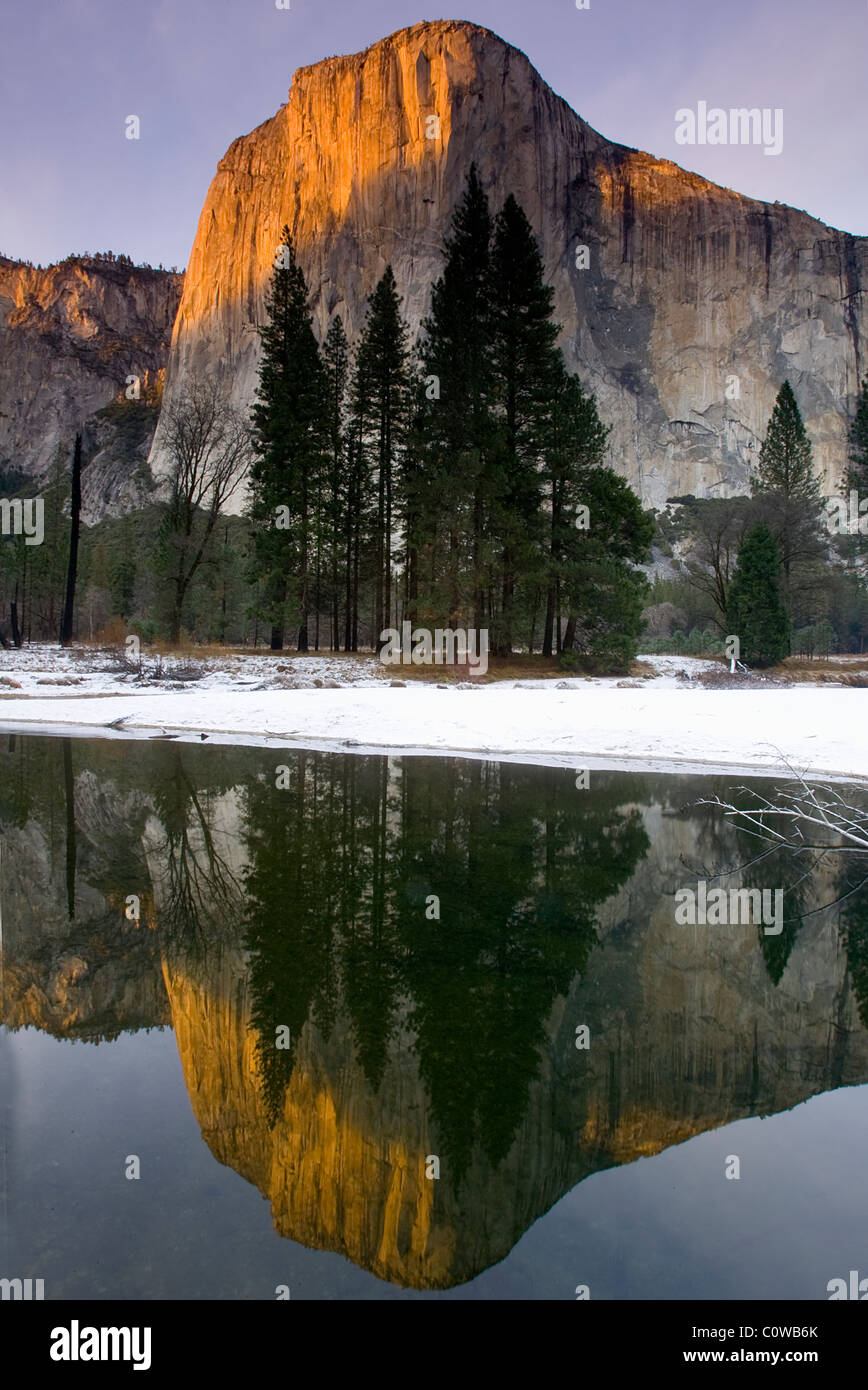El Capitan - Yosemite National Park, en Californie. Banque D'Images