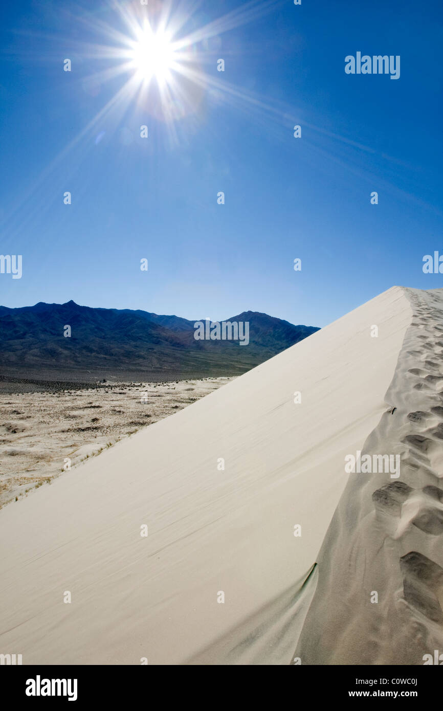 Kelso dunes dans le désert de Mojave, en Californie. Banque D'Images