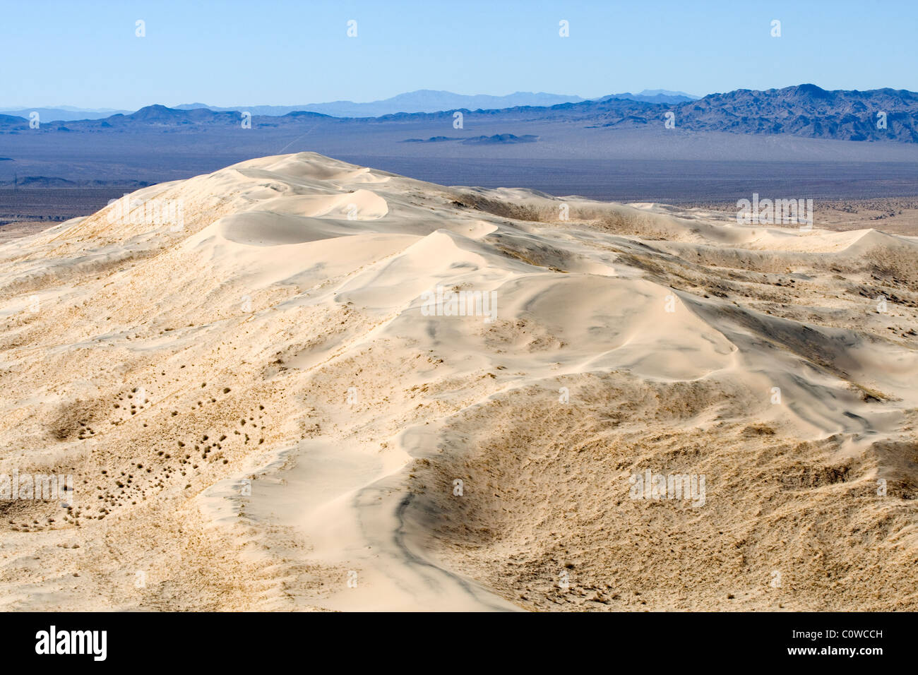 Kelso dunes dans le désert de Mojave, en Californie. Banque D'Images