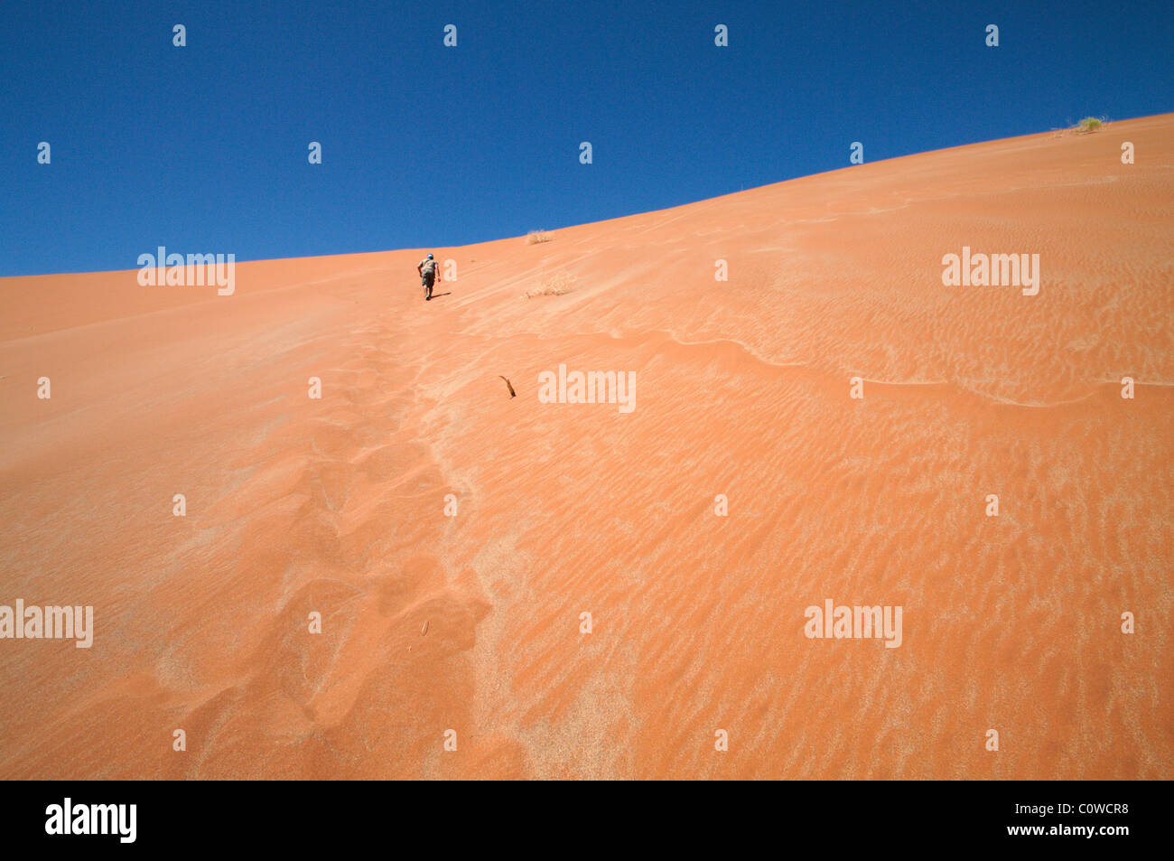 L'homme le plus important dans l'escalade des dunes de Sossusvlei Banque D'Images