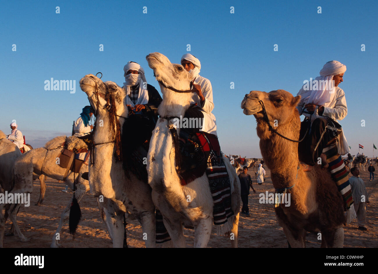 Festival de Douz, Tunisie Banque D'Images