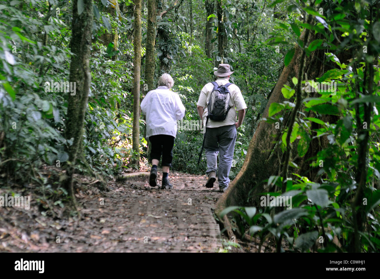 Marche à Monteverde cloudforest Rekreation Banque D'Images