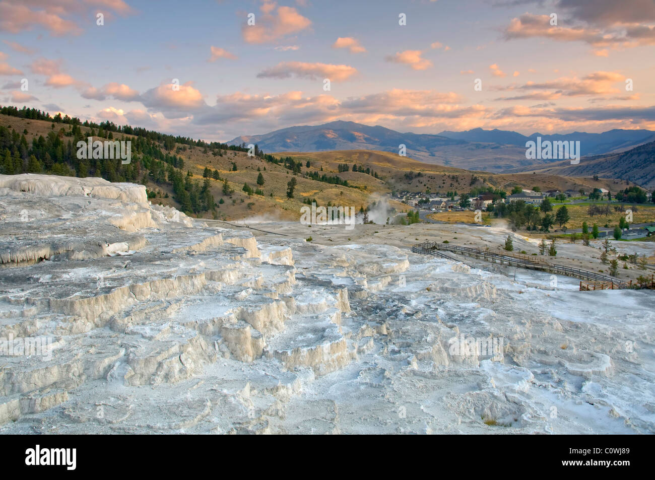 Terrasses en travertin, Mammoth Hot Springs, Parc National de Yellowstone, Wyoming, USA Banque D'Images