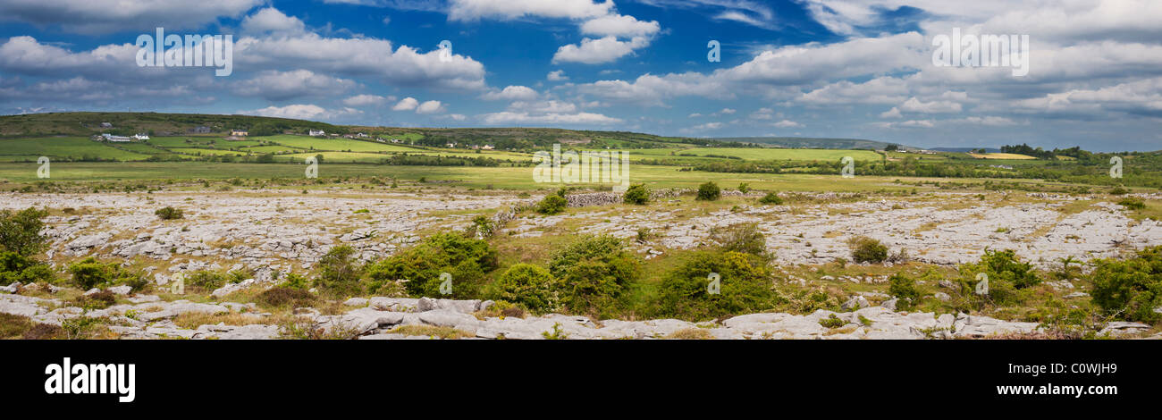 L'Carran la dépression, une grande dépression karstique ou doline dans le Burren, comté de Clare, Irlande Banque D'Images