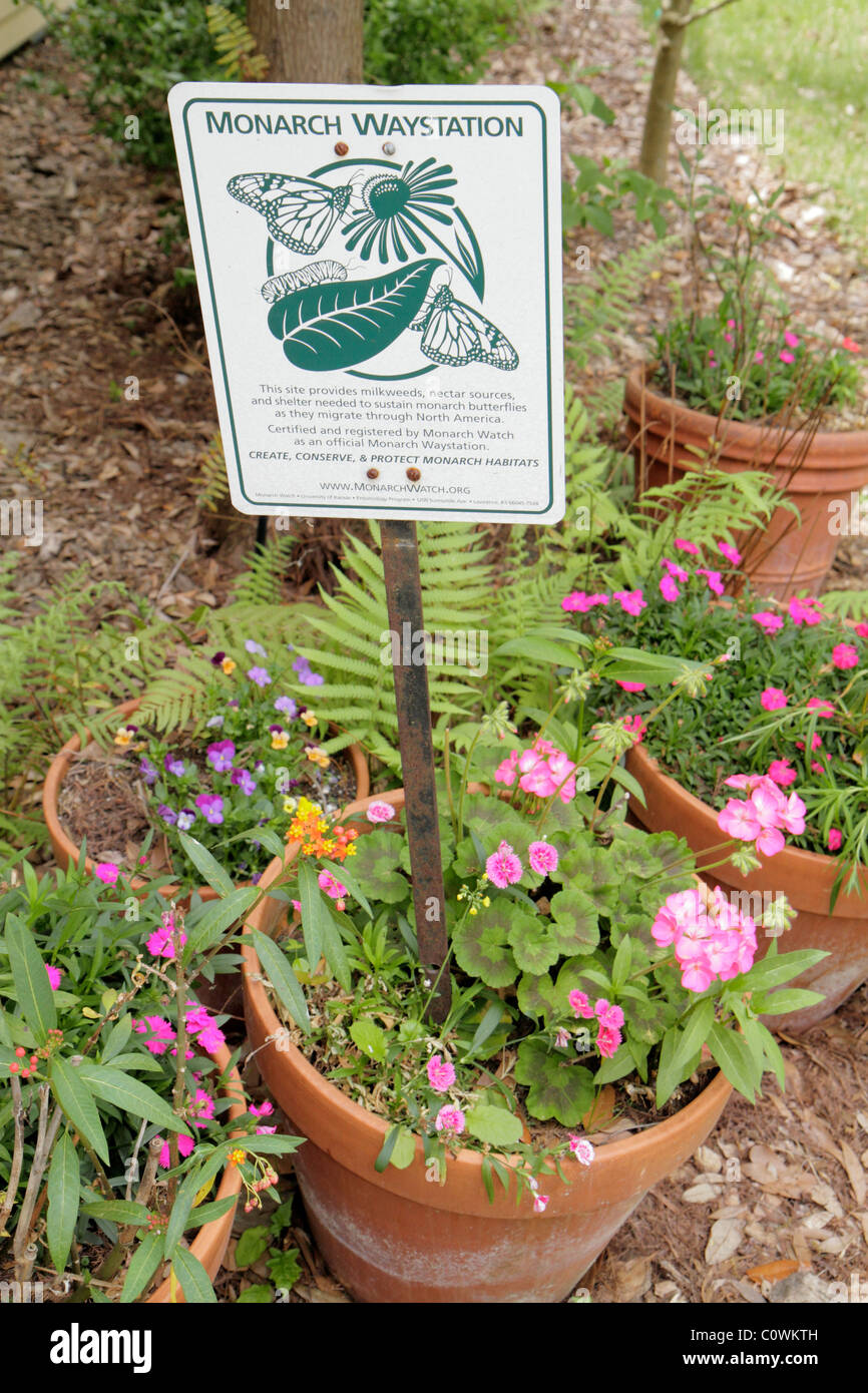 Florida Seminole County,Orlando,Sanford,Central Florida Zoo & and Botanical Gardens,Monarch Waystation,migration des papillons,fleurs,visiteurs tra Banque D'Images