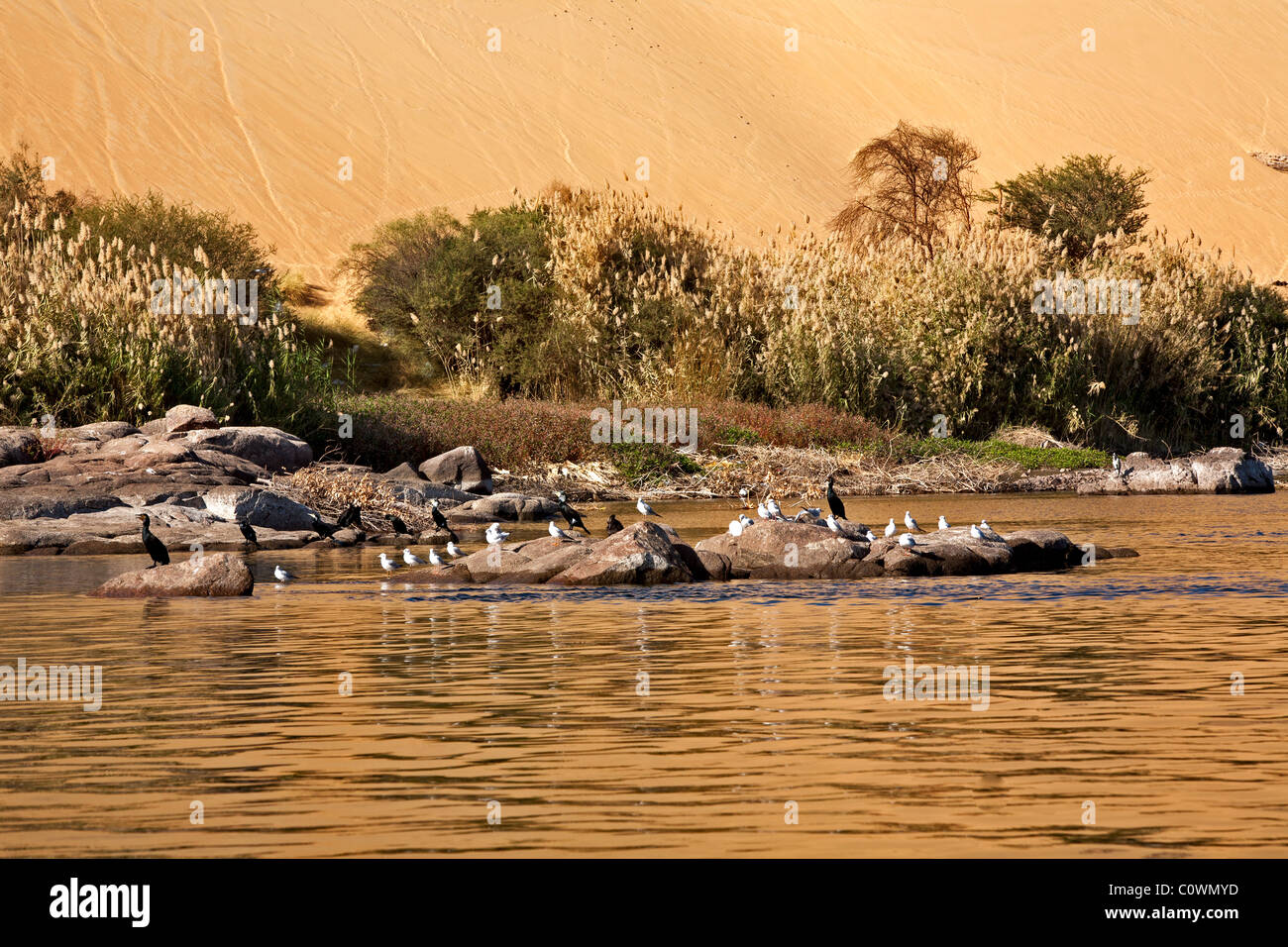 Sables du désert balayer jusqu'à la limite de l'Égypte, Nile River, près de Porto. Banque D'Images