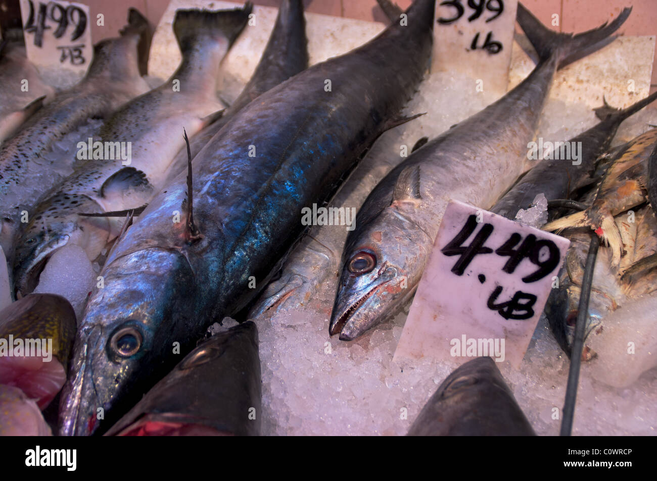 Plusieurs poissons en vente dans les grands centres urbains du marché de poissons Banque D'Images