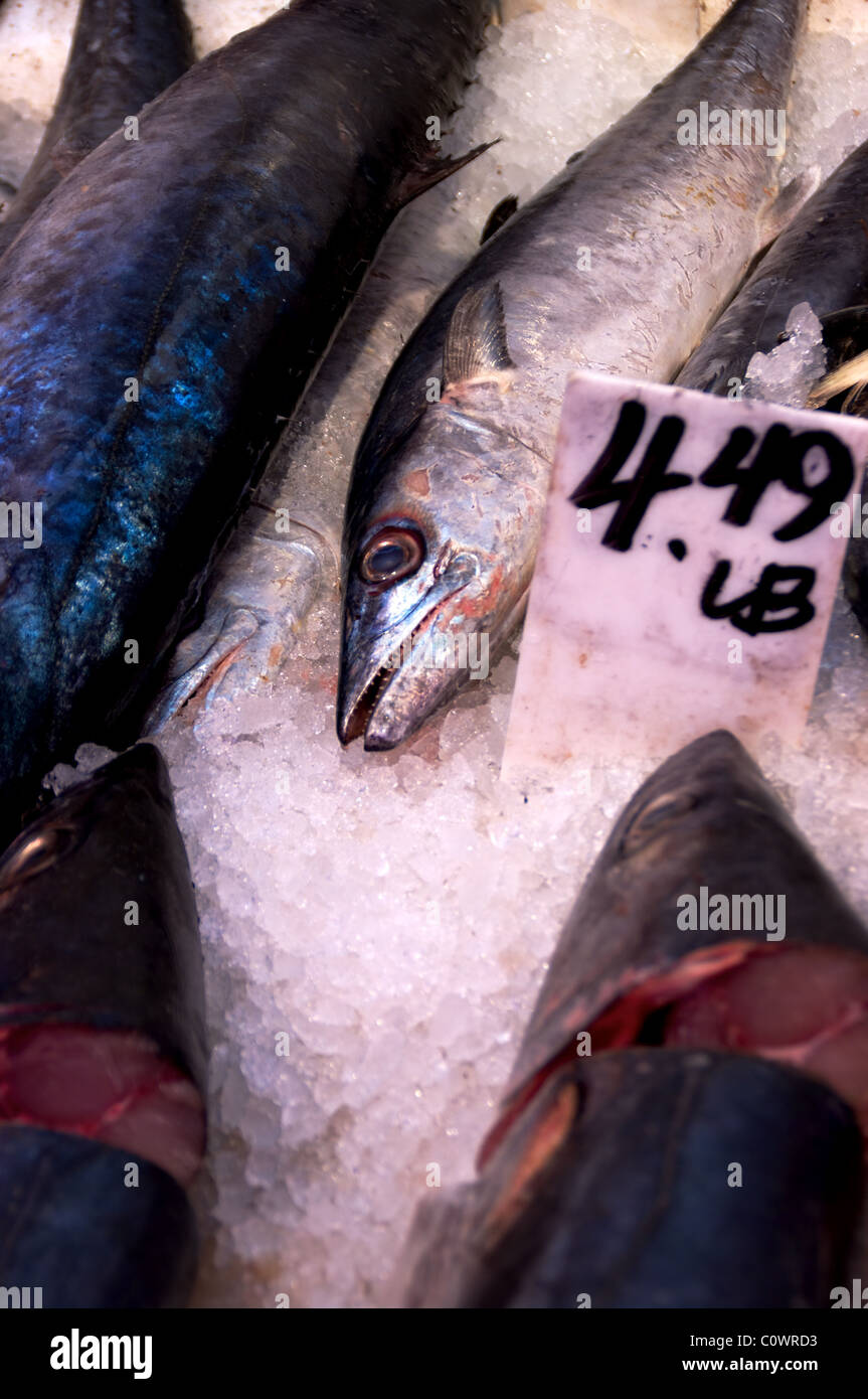 Petit poisson argenté bleu à côté des gros poissons sur la glace. Banque D'Images