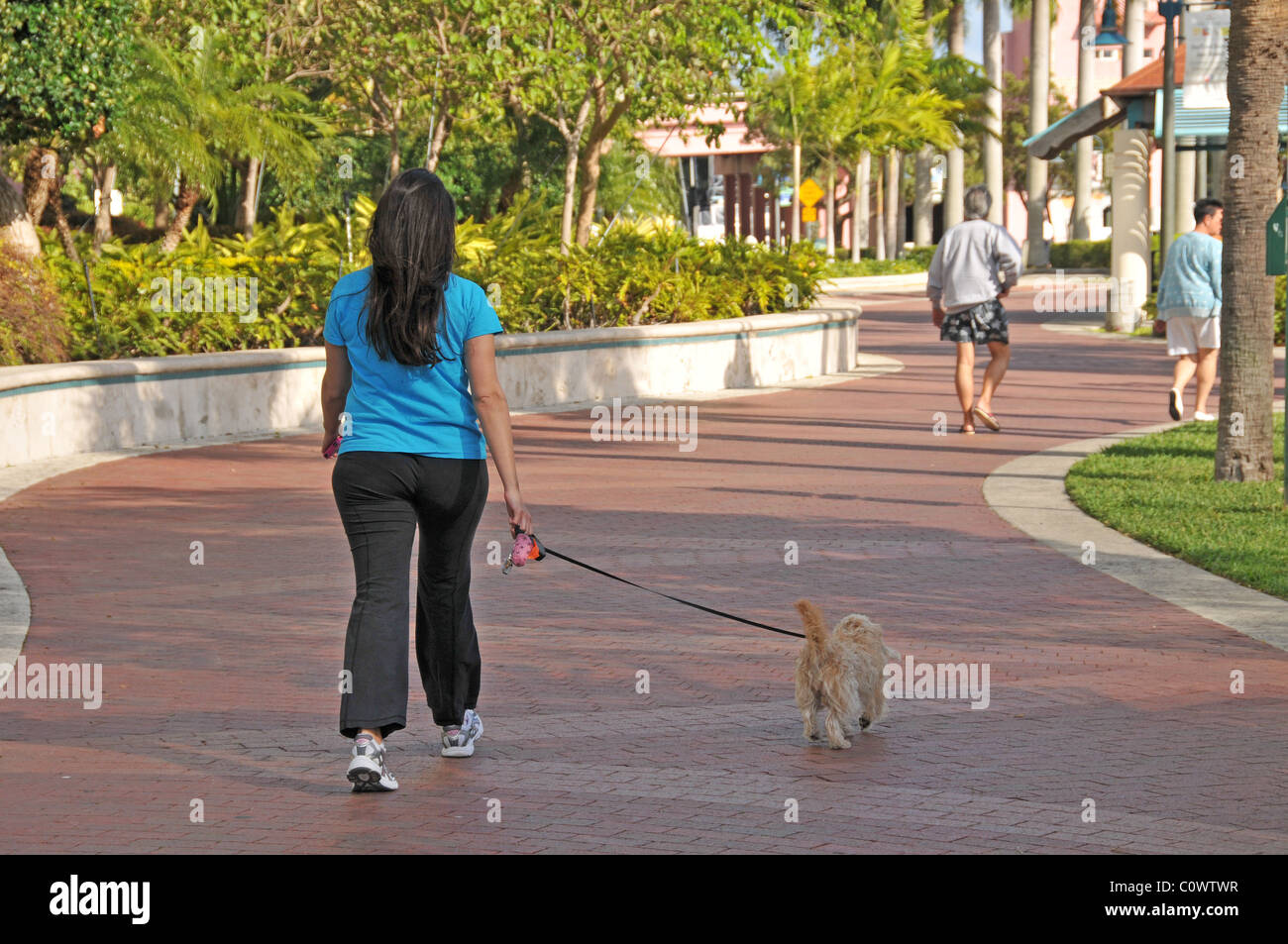 Femme marche chien de compagnie. Banque D'Images