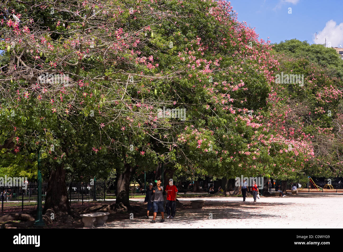 Place publique General San Martin à Buenos Aires. L'Argentine. Banque D'Images