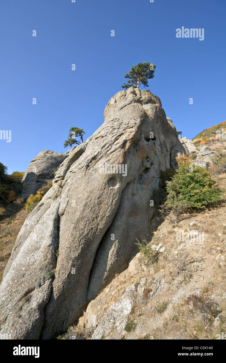(Demergy Demergi montagne, Demerdgy Demerdgi Demerdzhy,,). Pilier du rock avec arbre en Crimée les montagnes. Paysage sauvage. L'Ukraine. Banque D'Images