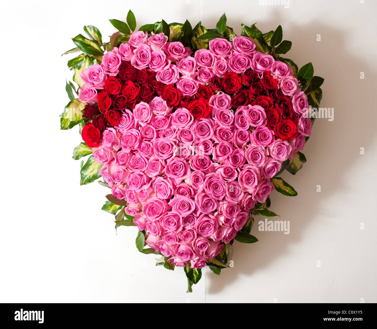 Fleurs en forme de coeur Banque D'Images