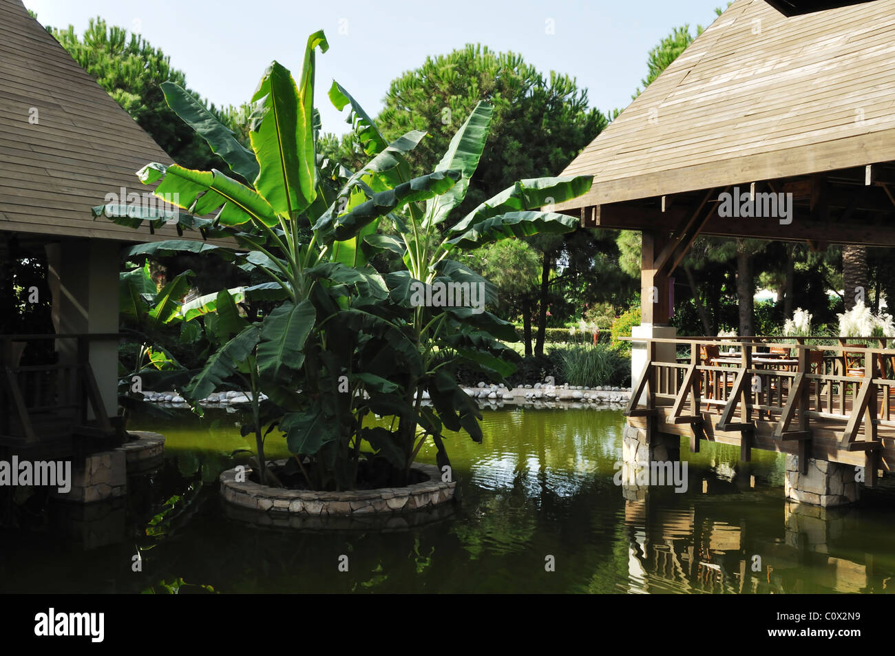 Café en plein air sur le balcon en bois dans l'étang dans un jardin de plantes vertes. Banque D'Images