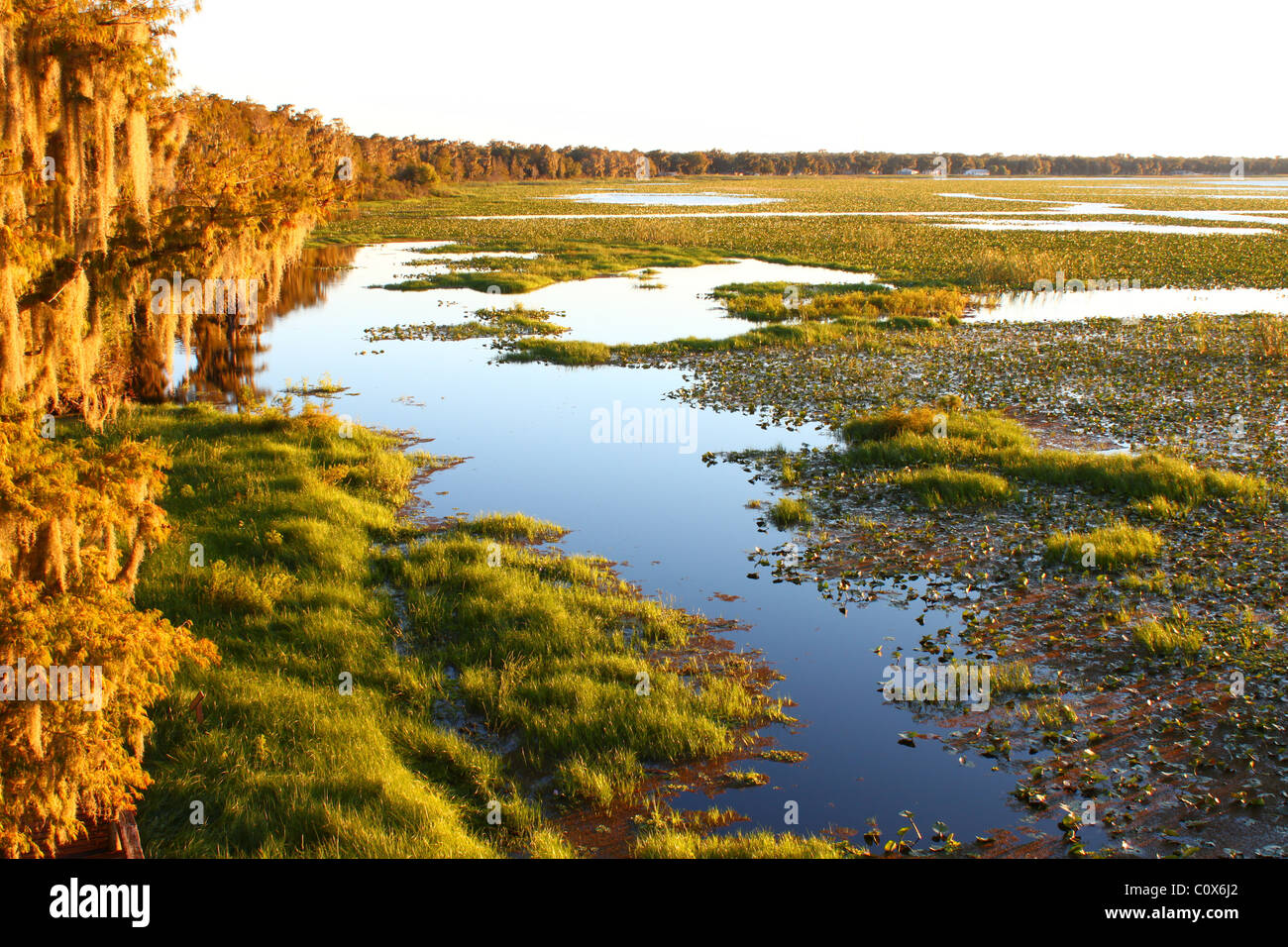 Lac Arbuckle - Floride Banque D'Images