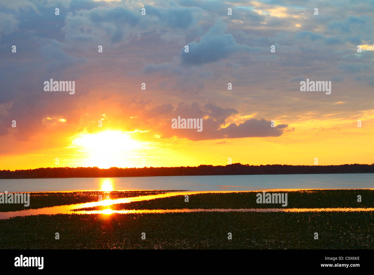 Lac Arbuckle - Floride Banque D'Images