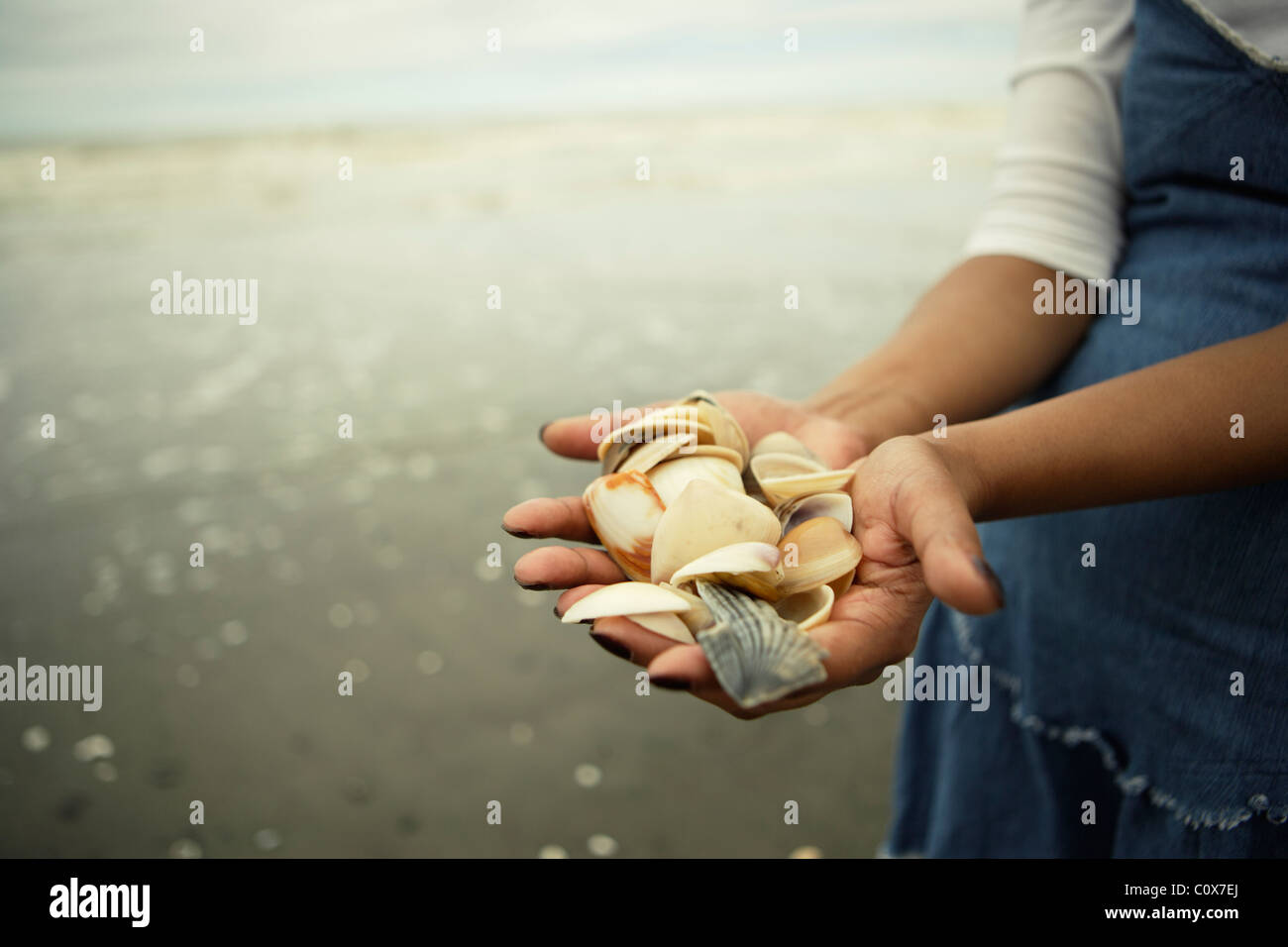 Le punjabi femme collection de coquillages de la plage, Manawatu, Nouvelle-Zélande. Banque D'Images
