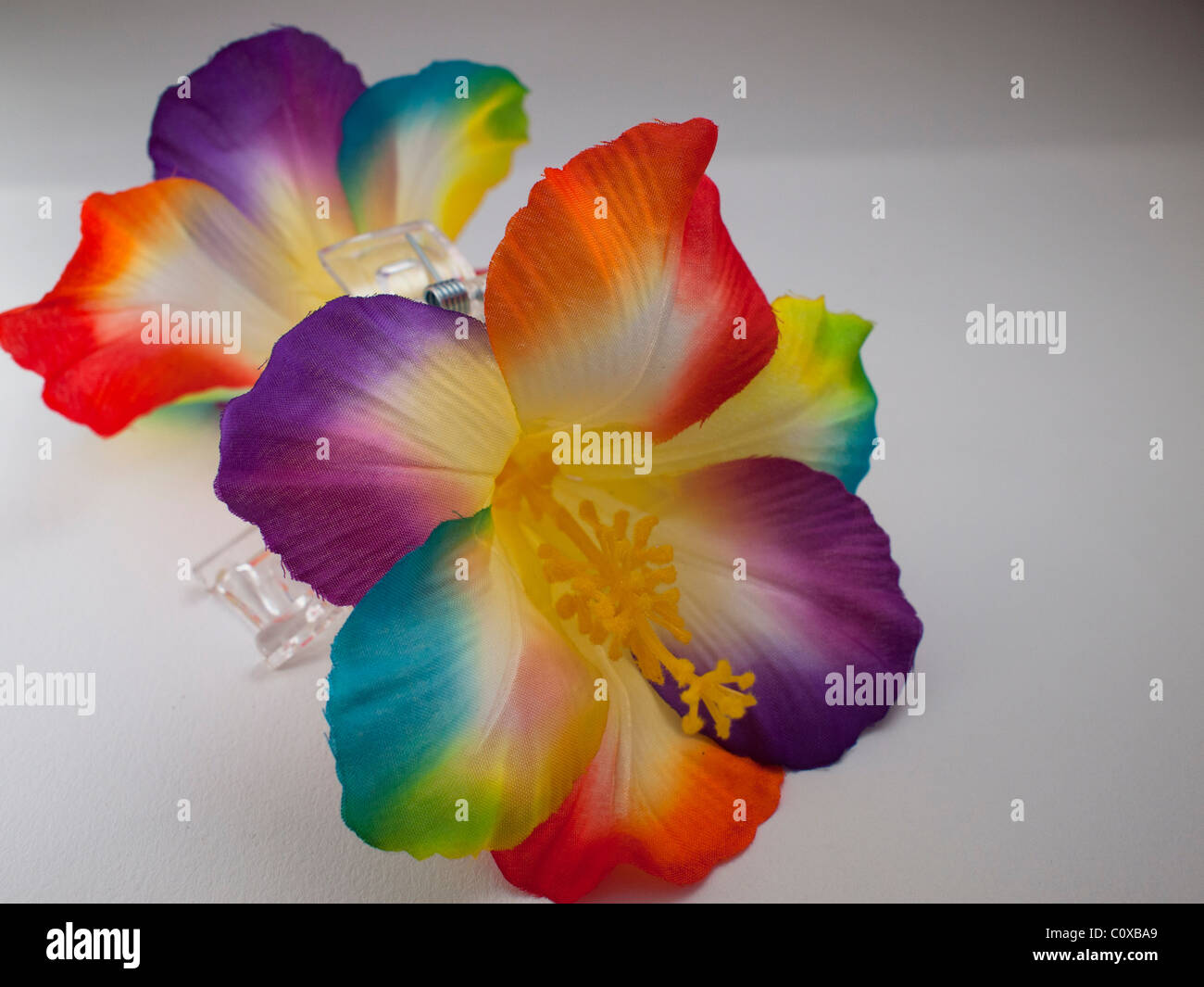 Couleur arc-en-ciel fleurs pince à cheveux Banque D'Images