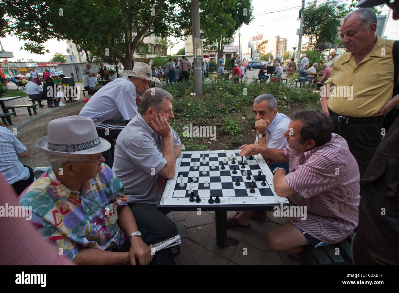 Joueurs d'échecs dans la rue, Iasi, Roumanie. Banque D'Images