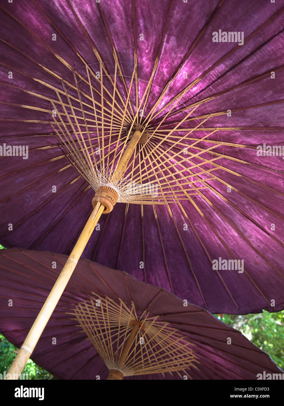 Un bambou purple parasols ou parapluies Banque D'Images