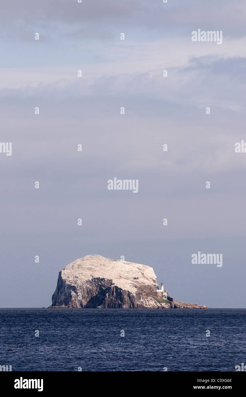 Le Bass Rock pris de Le Château de Tantallon près de North Berwick en Écosse Banque D'Images