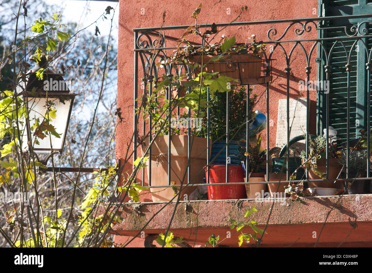 Balcon avec des plantes en Provence à l'automne Banque D'Images