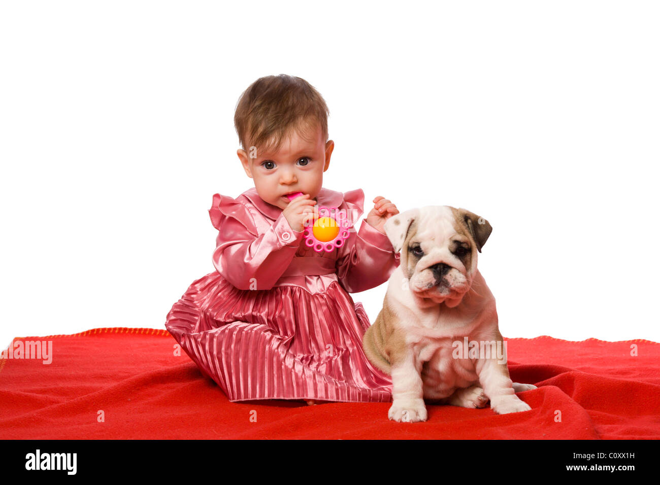 Bebe Et Chiot De Bouledogue Anglais Sur Rouge Blancket Isolated On White Photo Stock Alamy