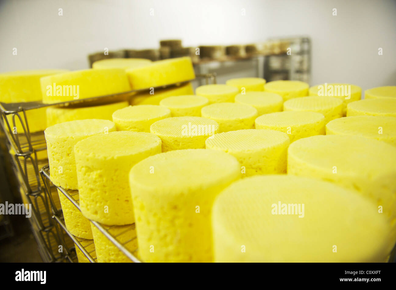 Des piles de fromage dans le Suffolk fait main chauffages à une ferme de Suffolk Banque D'Images