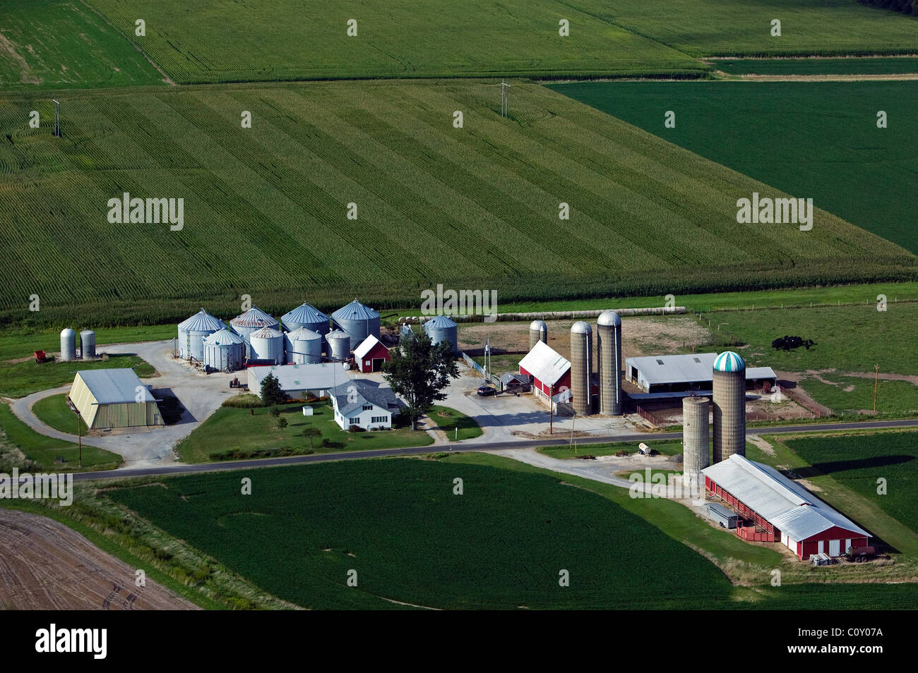 Vue aérienne des silos au-dessus des bâtiments agricoles du sud de l'Illinois Banque D'Images