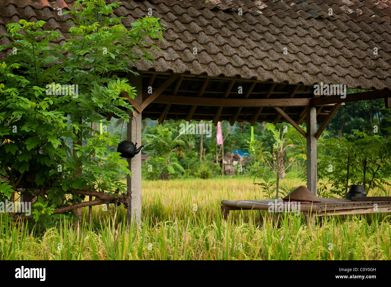 Les rizières de la vallée de Sideman dans Bali, Indonésie, sont particulièrement beaux et intéressants à explorer. Banque D'Images