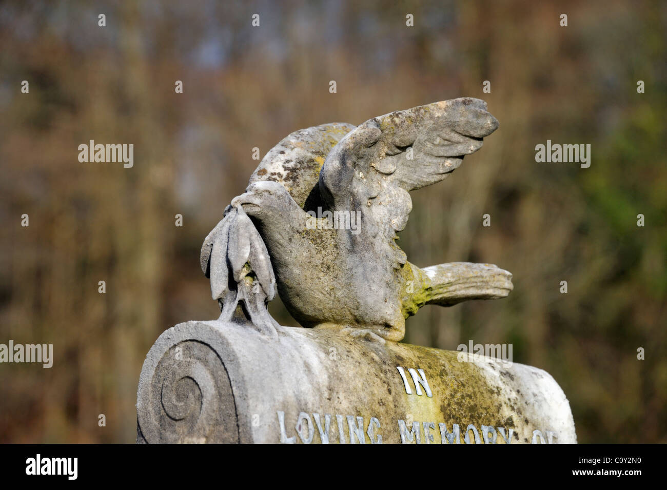 Colombe et branche d'Olivier sculpture sur pierre tombale. Glen Wynne Road, Windermere, cimetière Parc National de Lake District, Cumbria, Angleterre. Banque D'Images