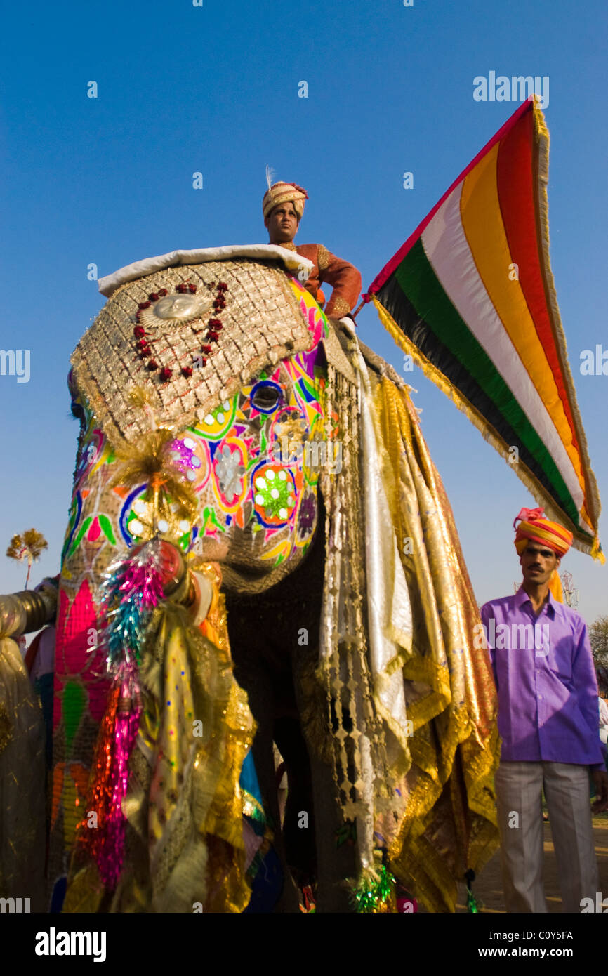 Homme tenant un drapeau et d'équitation un éléphant décoré à l'assemblée annuelle du Festival de l'éléphant à Jaipur Banque D'Images