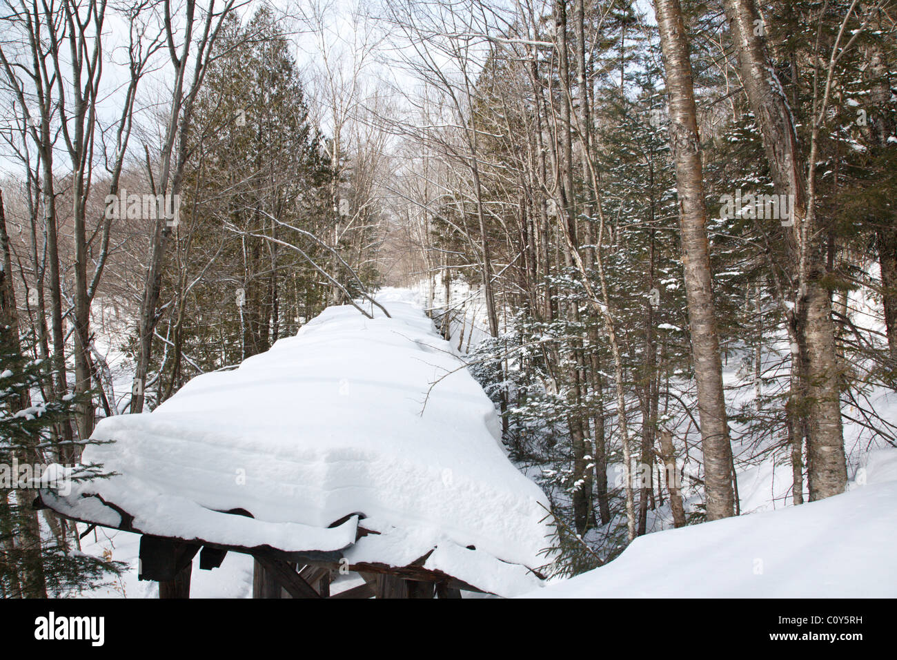 Construite au début des années 1900, l'abandonnée Trestle no 16 est le long de l'ancien Moyen-Orient & Lincoln Railroad dans le Pemigewasset Wilderness of New Hampshire Banque D'Images