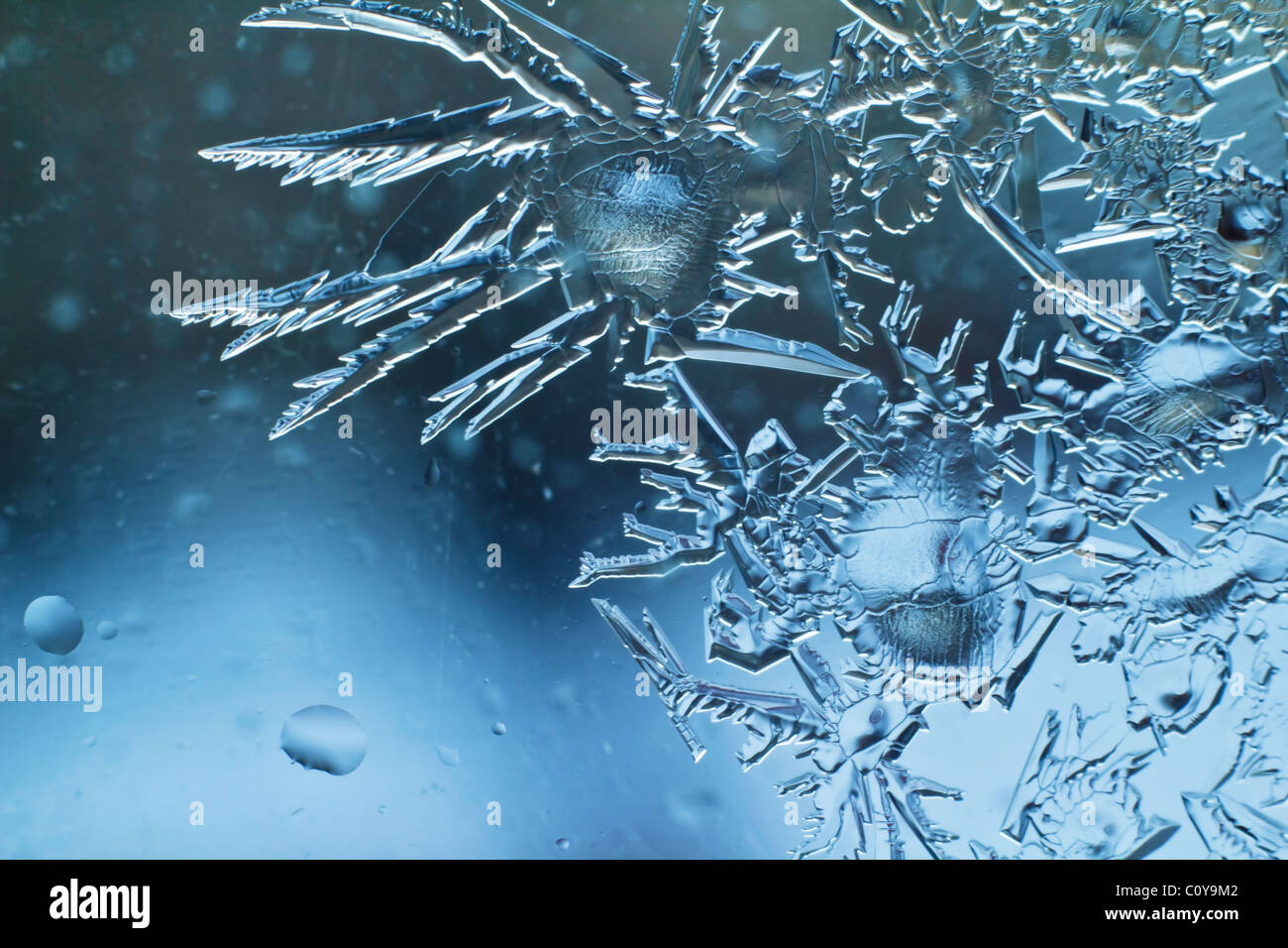 Cristaux de glace sur une vitre d'une maison à Regina, Canada, pendant la saison d'hiver froid Cristaux de glace sur une vitre d'une maison à Regina, Canada, pendant la saison d'hiver froid