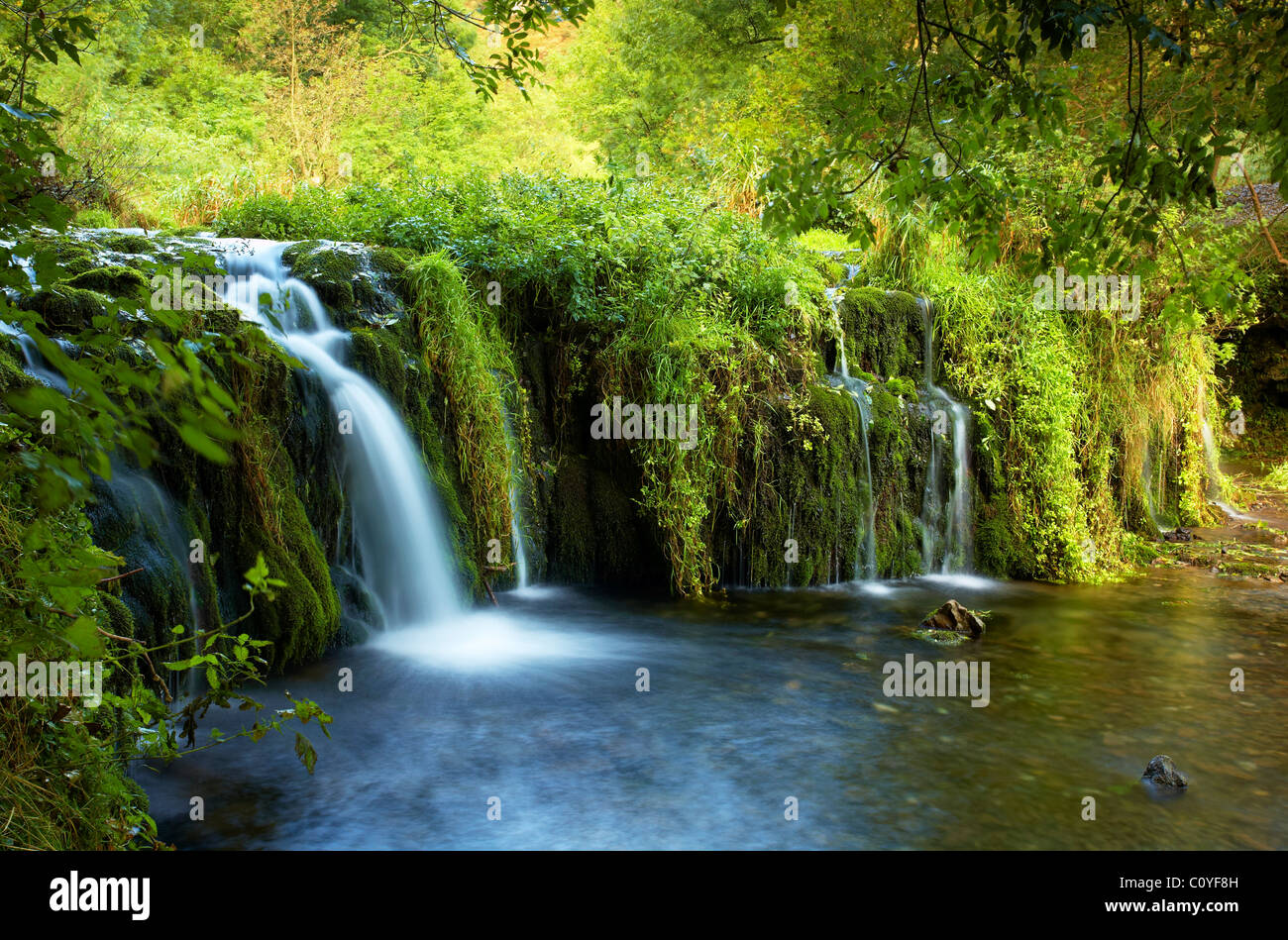 Dale Lathkill Waterfall Banque D'Images