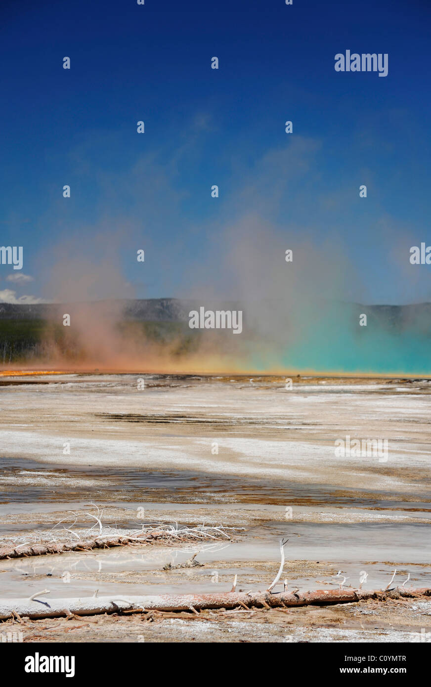 Photographie de la brume multicolore s'élevant du Grand Prismatic Spring à Yellowstone National Park, États-Unis Banque D'Images