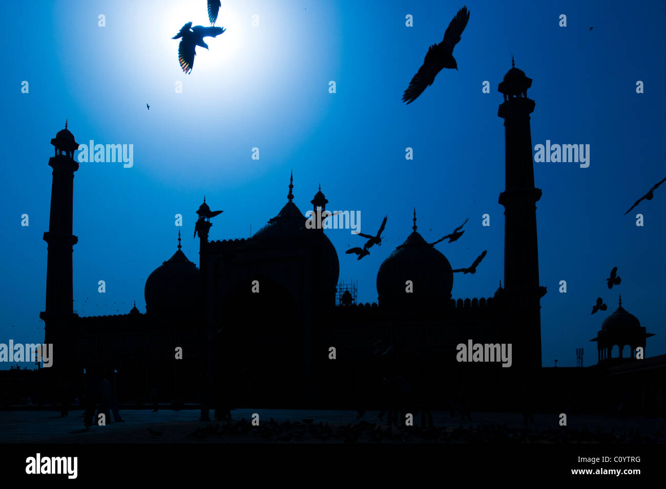 La silhouette de la mosquée Jama Masjid avec pigeons volant autour d'elle Banque D'Images